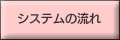 �V�X�e���̗���